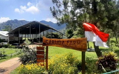 Garuda farm, Padukan Wisata Edukasi di Alam Liar