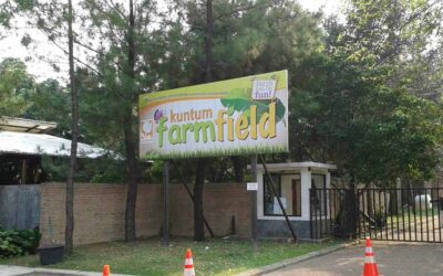 Kuntum farmfield, Agrowisata yang Ramah Keluarga dan Anak