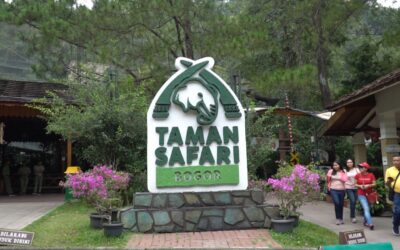 Taman Safari Bogor, Wisata Edukasi Satwa Bertaraf Dunia