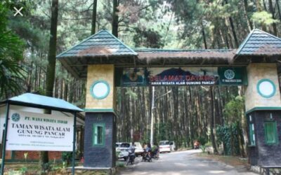 Taman Wisata Gunung Pancar, Manjakan Mata dan Jadi Lokasi Healing Bareng Keluarga