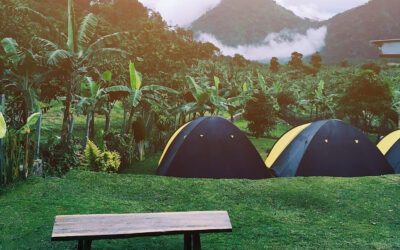 Menikmati Alam dan Kuliner Bersama Keluarga di KM Zero Sentul: Resto Alam Gaya Rimba