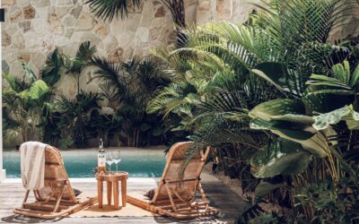 Pesona Berlibur yang Memukau di Canggu dengan Konsep Vacation Homes