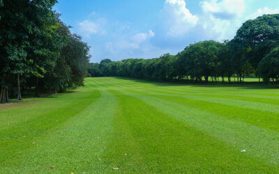 Ingin Main Golf Tapi Hemat? Berikut Tips untuk Bermain Golf dengan Biaya Terjangkau!