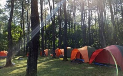 Menelusuri Keindahan Alam dan Edukasi di Sentul Eco Edu Tourism Forest