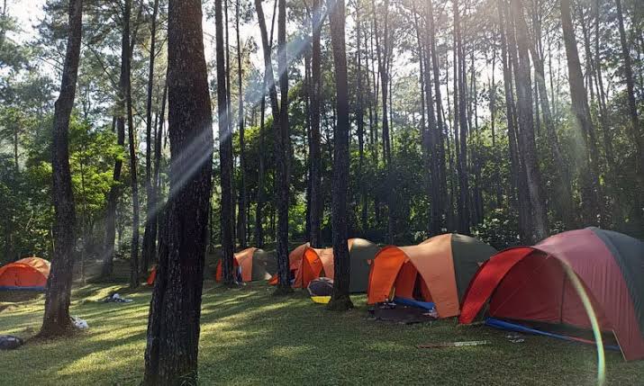 Menelusuri Keindahan Alam dan Edukasi di Sentul Eco Edu Tourism Forest