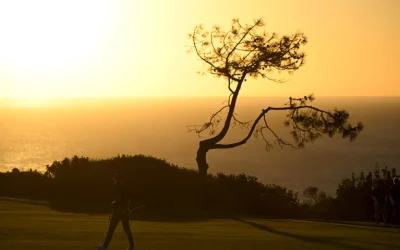 Turnamen Riviera Pindah ke Torrey Pines San Diego Akibat Kebakaran di Los Angeles