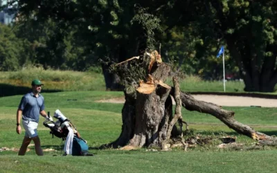 400 Pohon Ditebang, Hakim Batasi Proyek Golf Trump di Washington